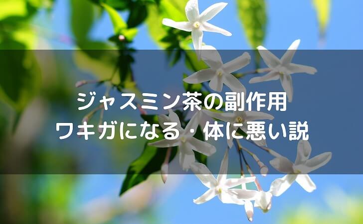 ジャスミンの花